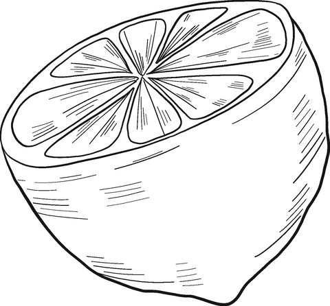 Half Lemon Coloring Page